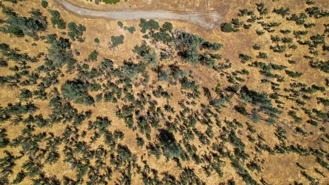 $50,000 | Lot 9 Canto De Las Lupine Drive, Redding, CA 96001