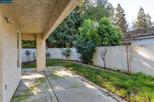 a view of a tree in the middle of a yard