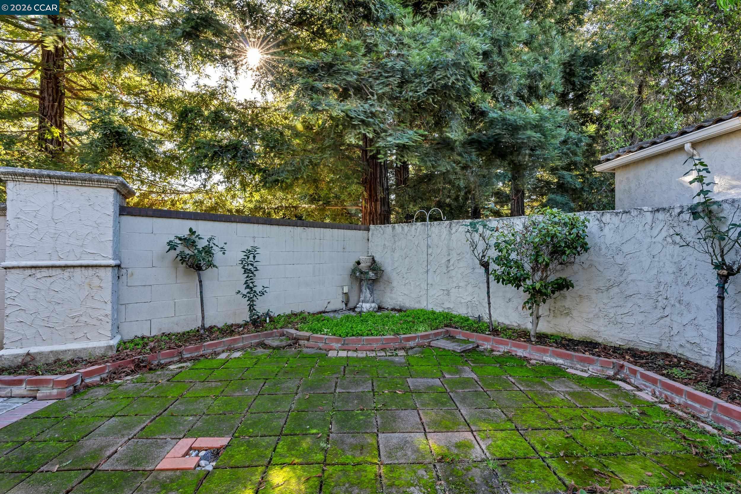3735 Ignacio Circle Stockton, CA 95209 - Photo 15 of 22 a view of a backyard