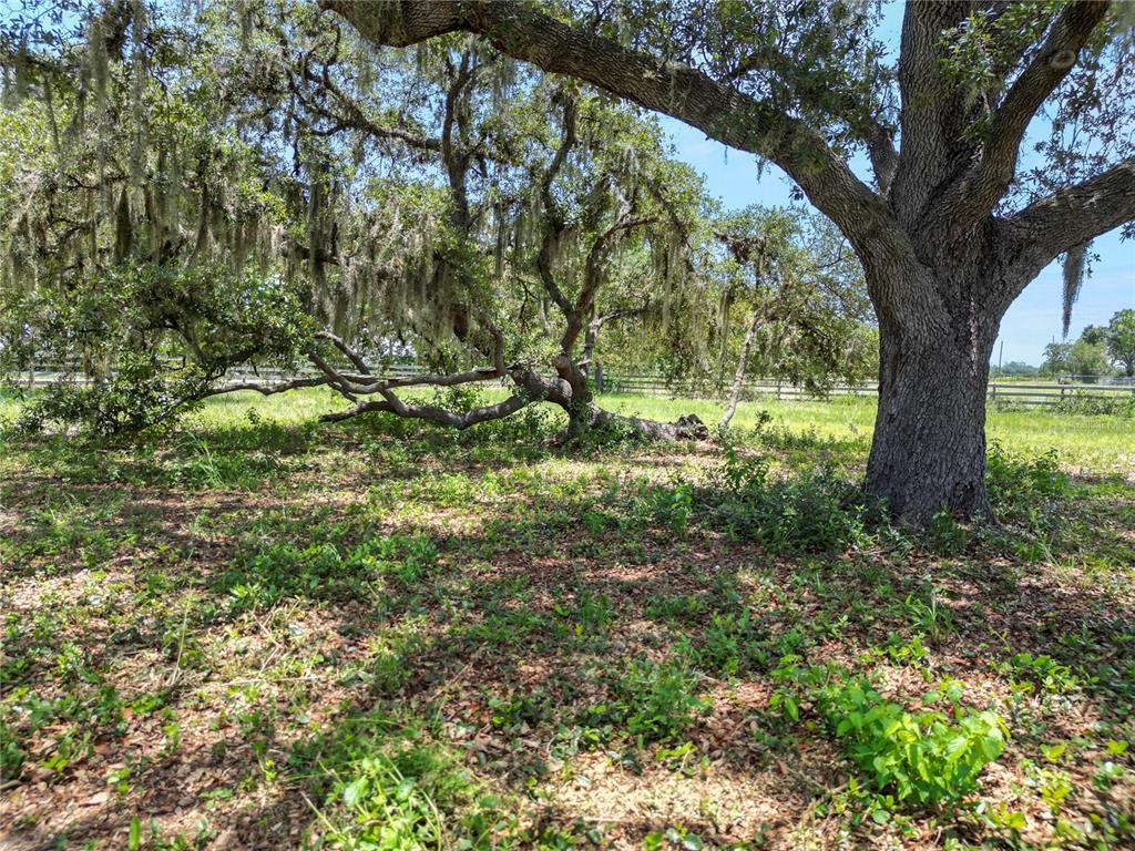 6570 Water Tank Road Haines City, FL 33844 - Photo 84 of 95