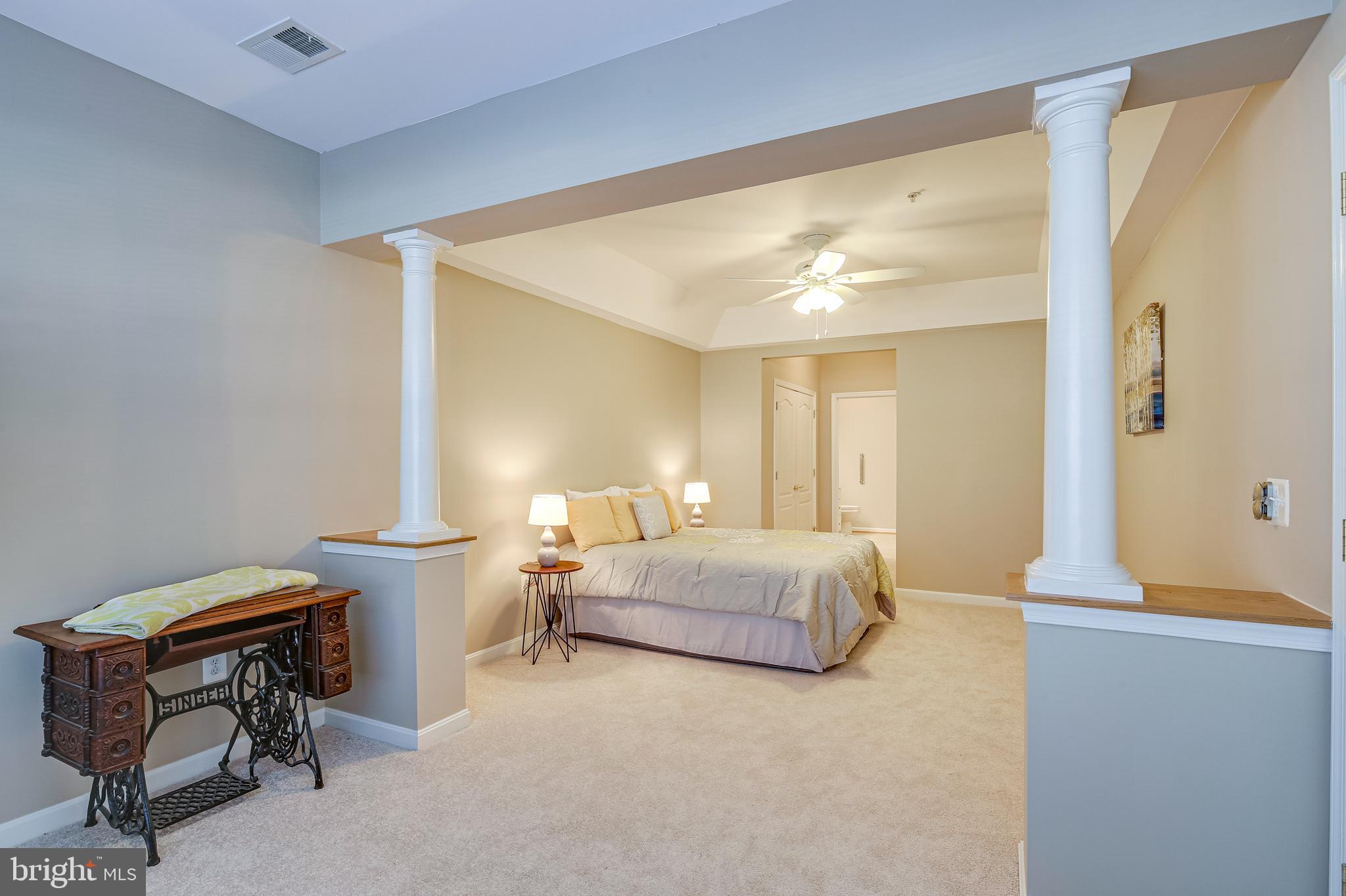 7315 Brookview Road, Unit 208 Elkridge, MD 21075 - Photo 12 of 40 Primary Suite with Gracious Columns