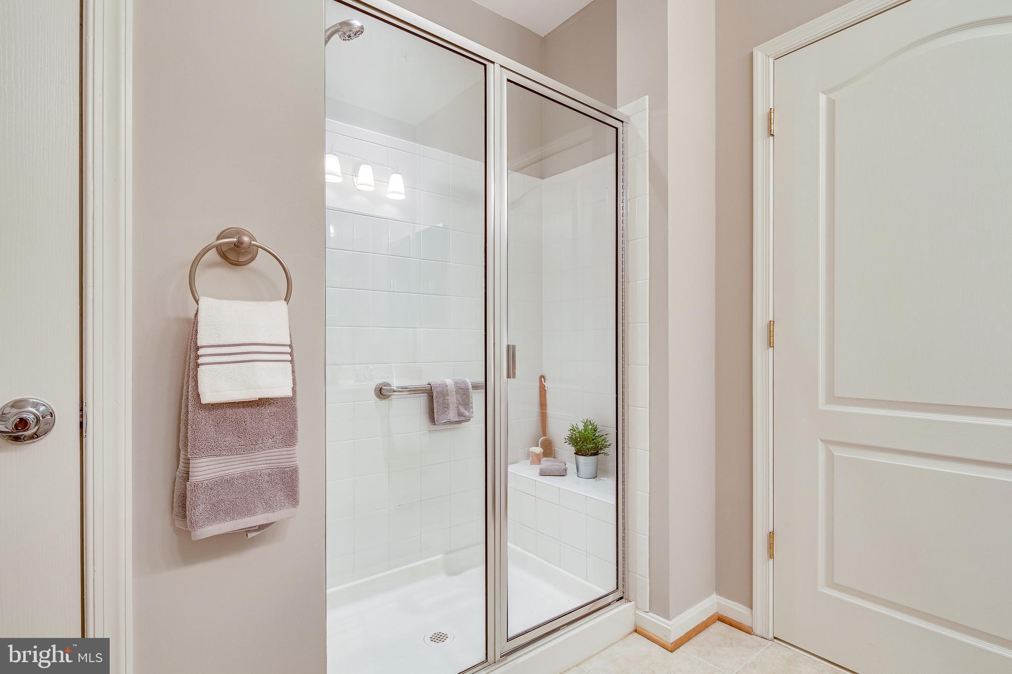 7315 Brookview Road, Unit 208 Elkridge, MD 21075 - Photo 20 of 40 Step-In Shower w/Bench Seating & Grab Bar