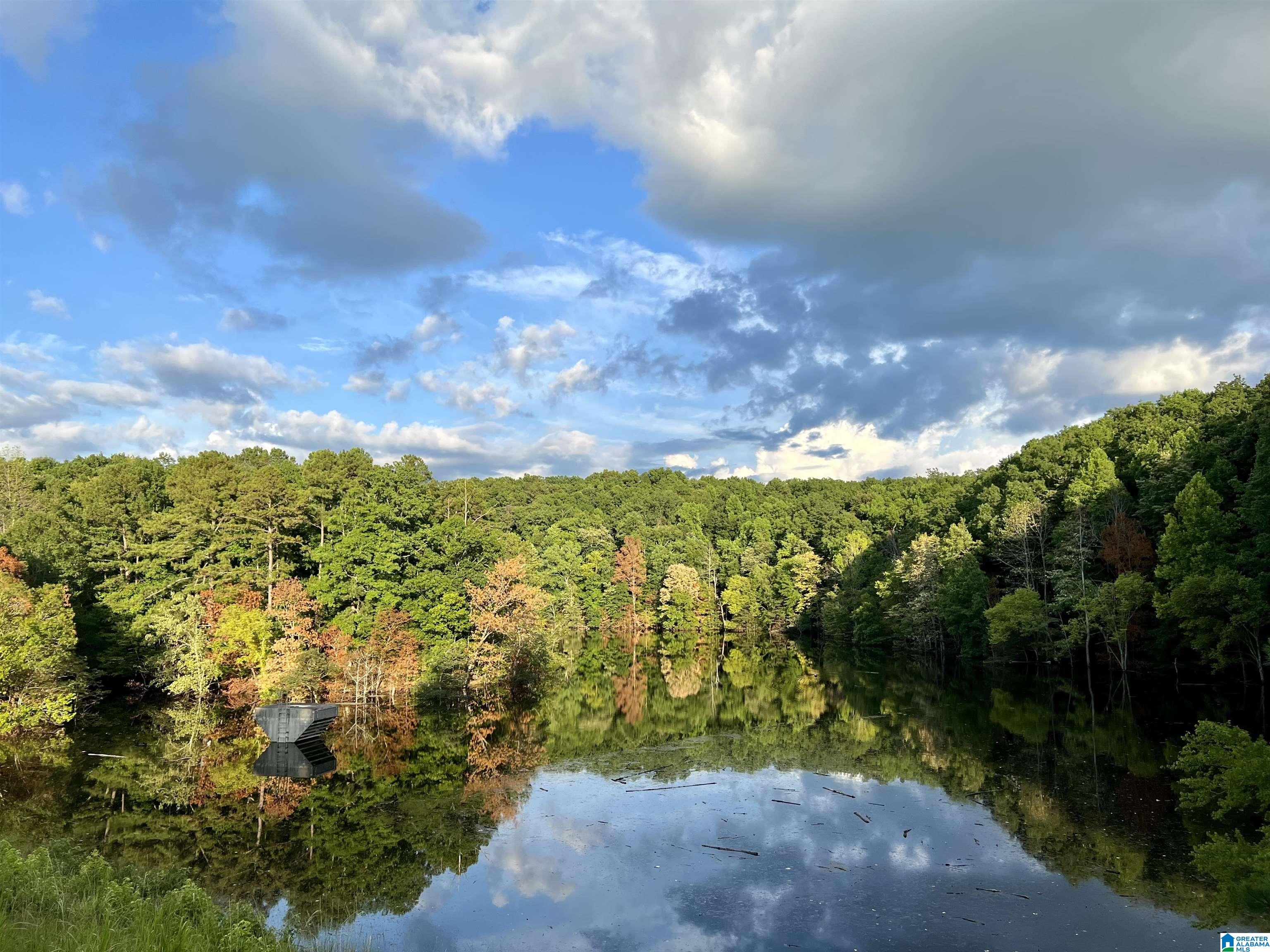 1515 Kelly Ranch Road, Unit 138 ACRES / Talladega, AL 35160 - Photo 9 of 42