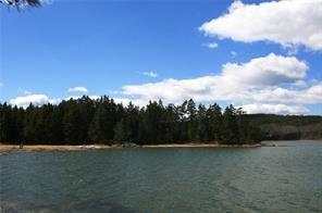 73 Bell Farm Road Harborside, ME 04642 - Photo 5 of 24 Horseshoe Cove overlooking protected...