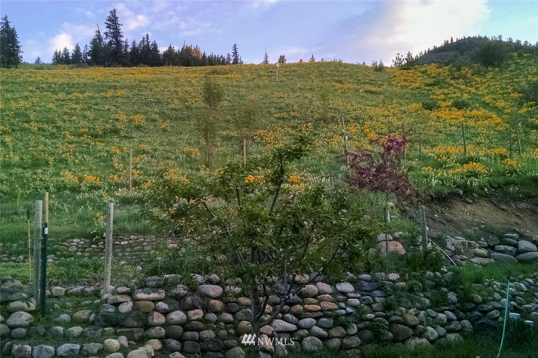 41 Rattlesnake Way Twisp, WA 98856 - Photo 4 of 25