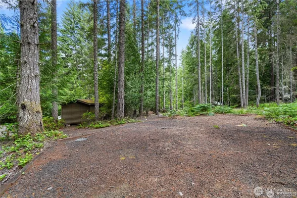 a view of a backyard with large trees