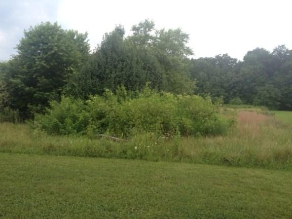 310 Deer Point Road Unionville, TN 37180 - Photo 2 of 6 Gallery Image 2