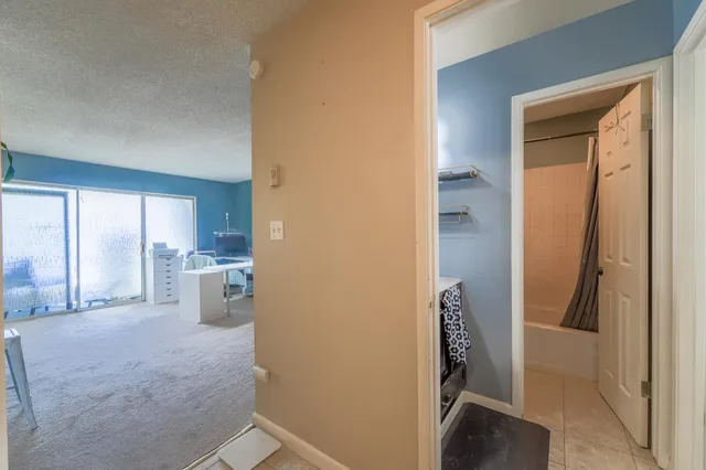 a bathroom with a shower and a toilet