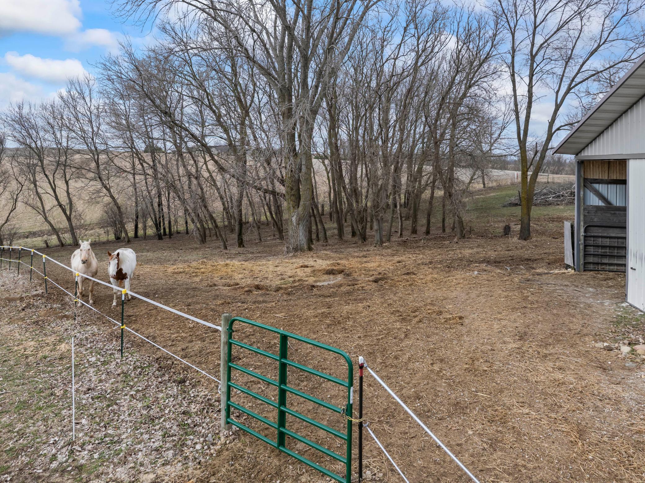 46729 170th Avenue Zumbrota, MN 55992 - Photo 49 of 58