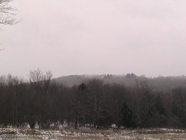 159 Sepko Road Moscow, PA 18444 - Photo 5 of 6 a view of river covered with trees