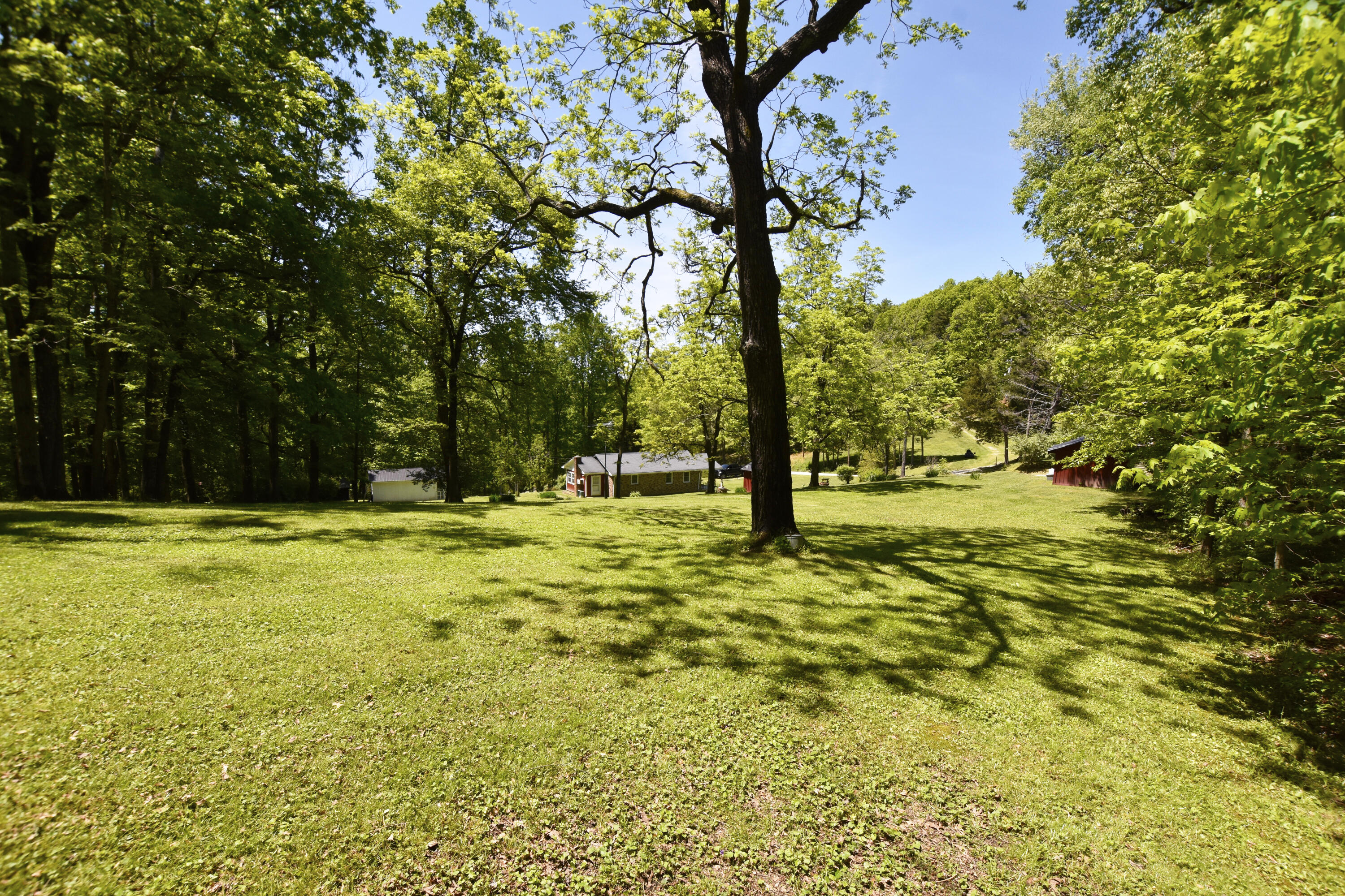 70 Robins Road Ravenna, KY 40472 - Photo 5 of 51 Forest!