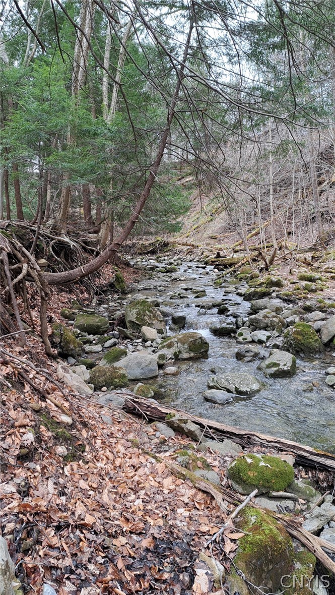 4315 Hepatica Hill Road Pompey, NY 13104 - Photo 35 of 40