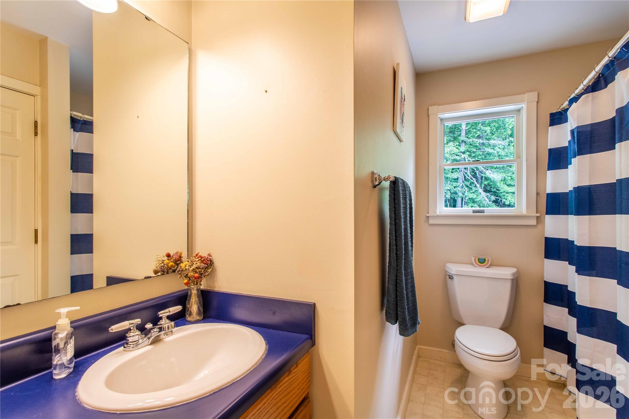 658 Tilley Creek Road Cullowhee, NC 28723 - Photo 21 of 41