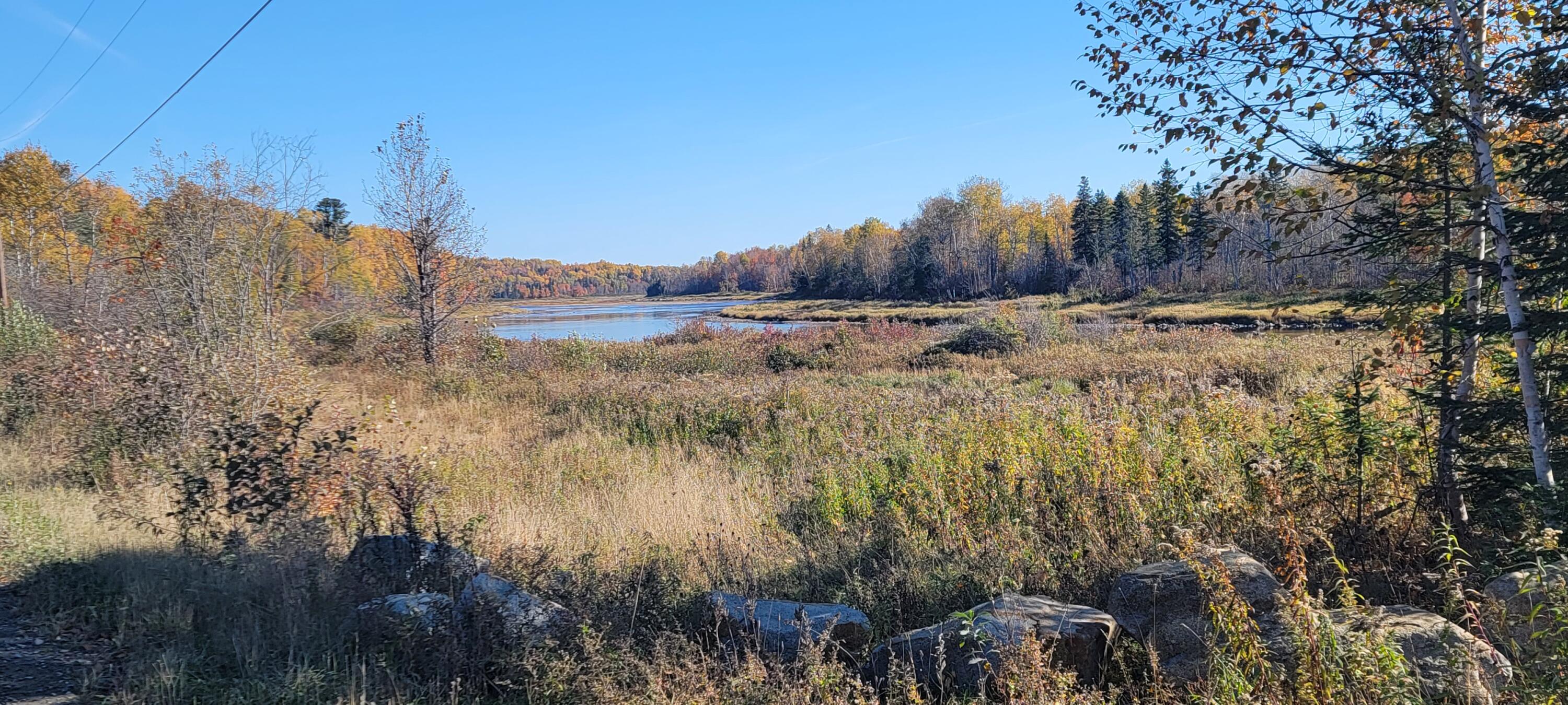 834 Gardner Creek Road Washburn, ME 04786 - Photo 1 of 3 20221012_105025