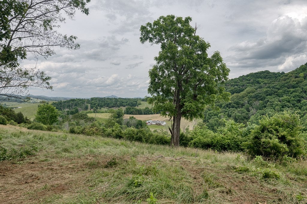 Tbd Cross Roads, Unit 1 Lebanon, VA 24266 - Photo 17 of 22 Gallery Image 17