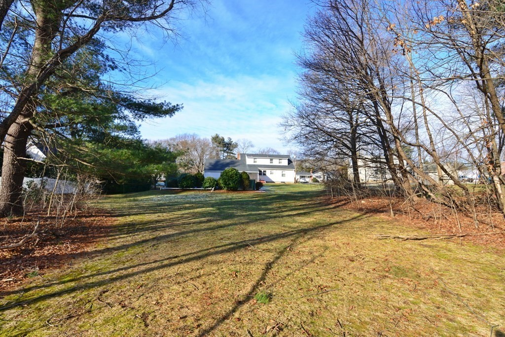 44 Everett Street Franklin, MA 02038 - Photo 26 of 31 a view of a yard with large trees