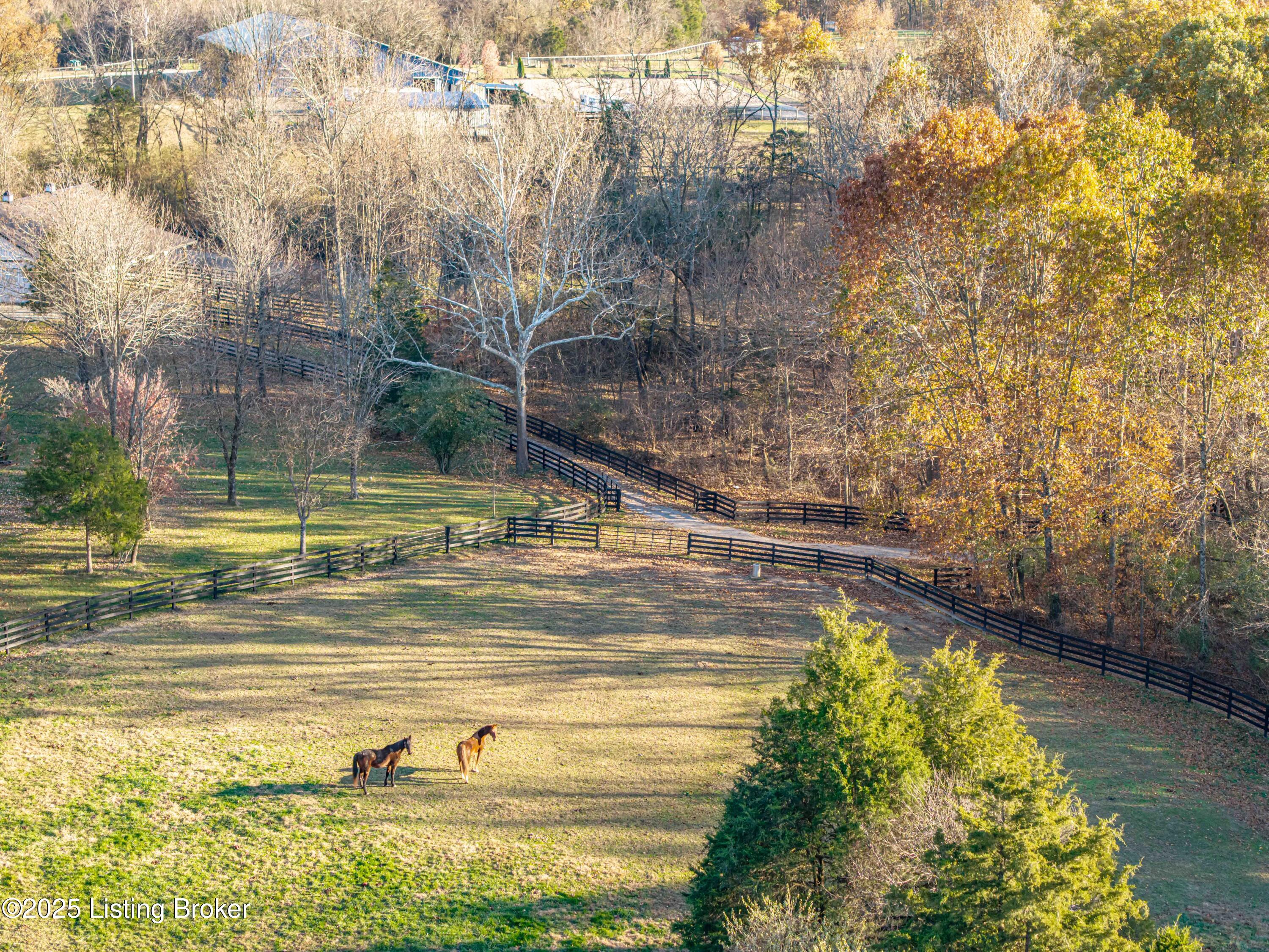 4199 Webb Road Simpsonville, KY 40067 - Photo 97 of 101 DJI_20251113160846_0866_D