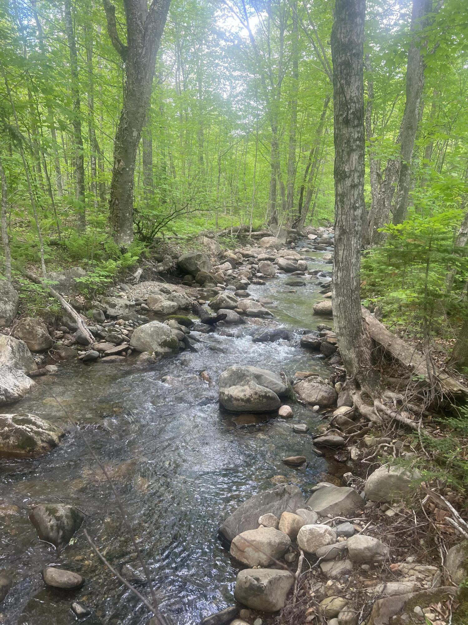 Lot 6 Farm's Edge Road Temple, ME 04984 - Photo 3 of 4 Mtn Stream
