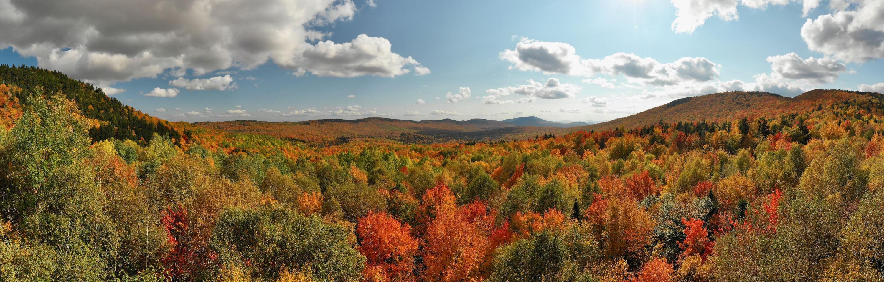 Lot 6 Farm's Edge Road Temple, ME 04984 - Photo 4 of 4 Valley Mtn Views