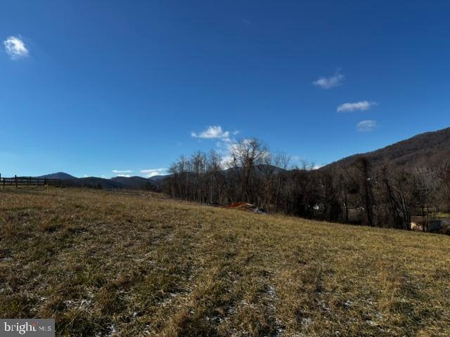 0 Woodward Road Sperryville, VA 22740 - Photo 5 of 22 a view of a yard with a tree