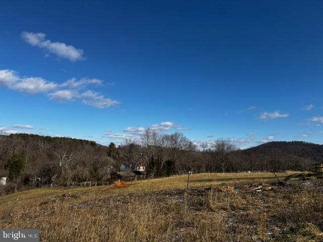 0 Woodward Road Sperryville, VA 22740 - Photo 7 of 22 a view of an outdoor space
