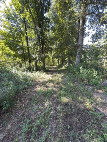a big yard with lots of green space and deers