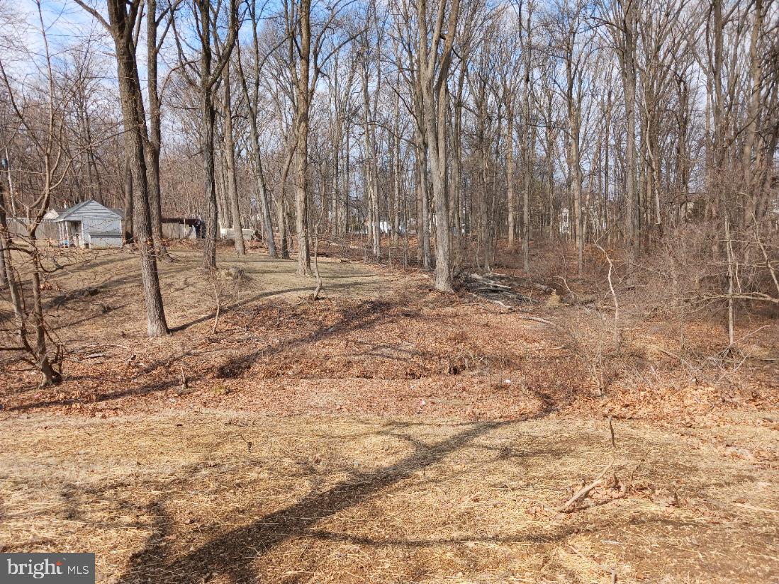 Wooded view