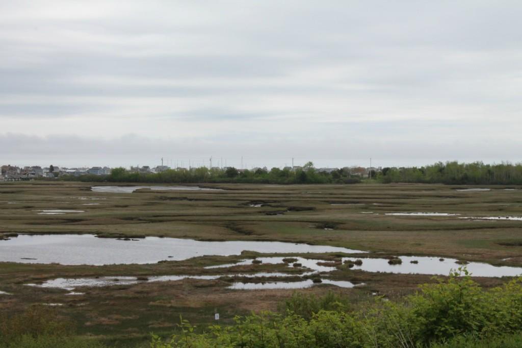 1801 Post Road, Unit 173 Wells, ME 04090 - Photo 12 of 15 View of the marsh from in front of...