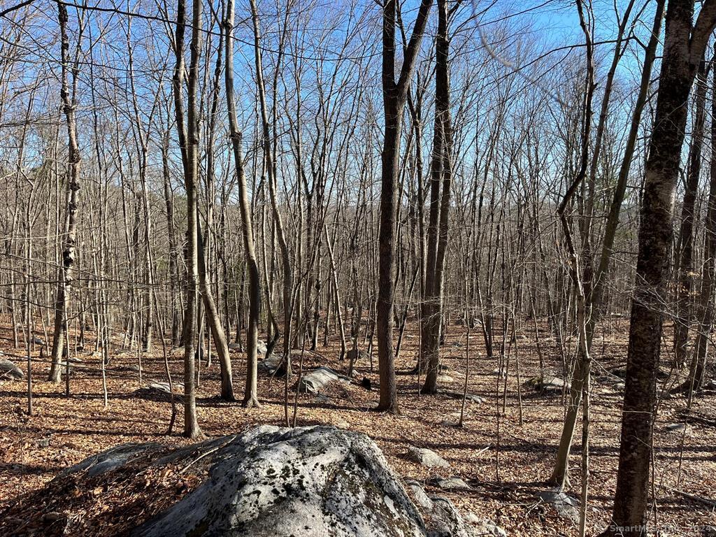 55 Browning Road Norwich, CT 06360 - Photo 1 of 1 Gallery Image 1