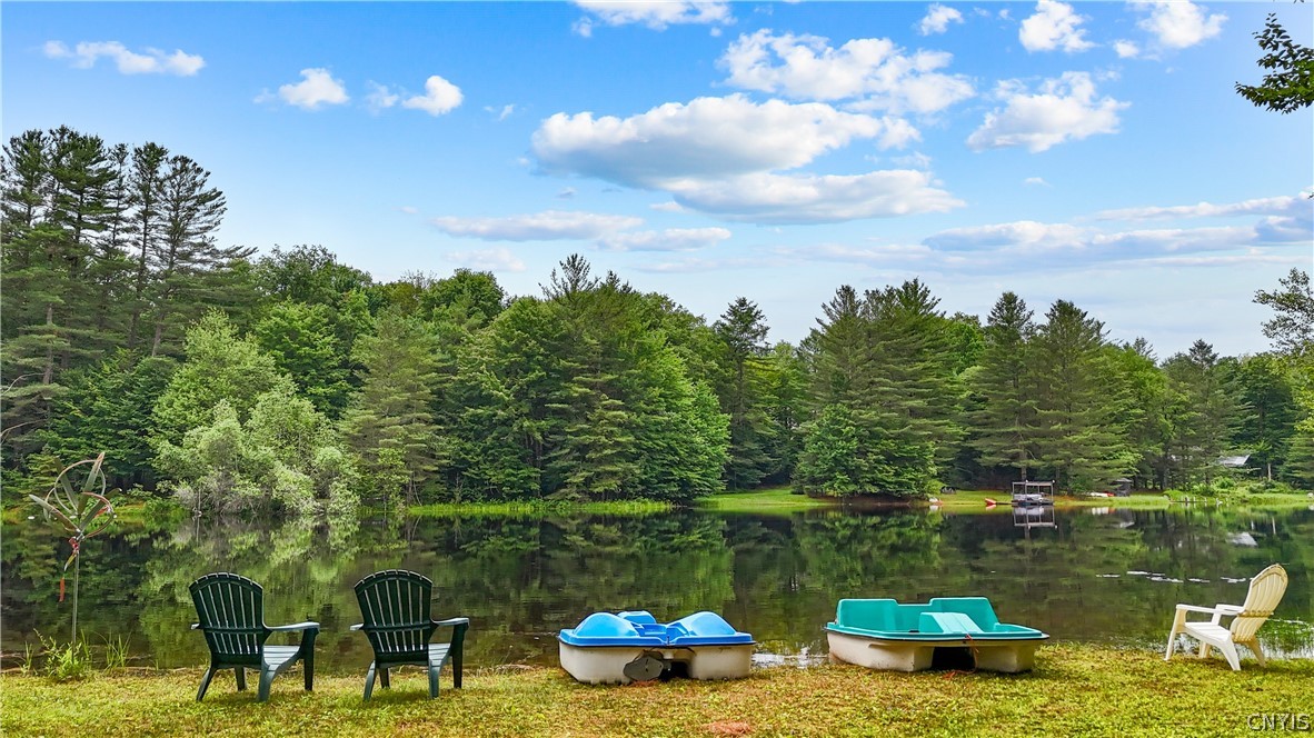 331 Pardee Road Russia, NY 13438 - Photo 2 of 29 Paddle Boats Will Stay!