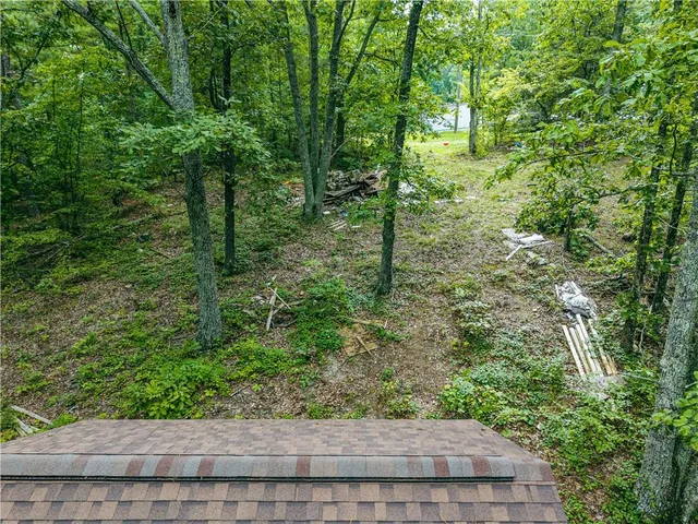 a view of a yard with plants and large trees