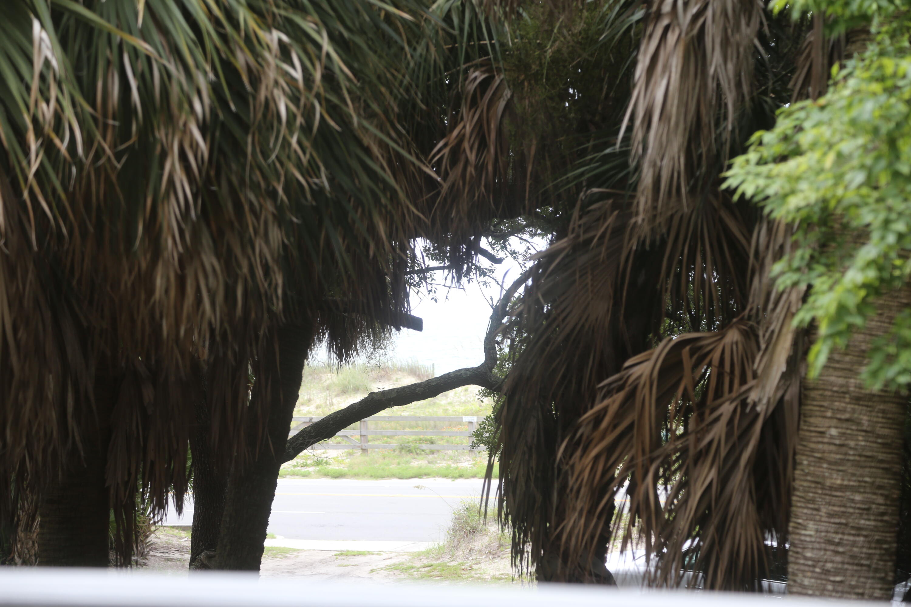 126 Jungle Road, Unit 7D Edisto Island, SC 29438 - Photo 50 of 52 IMG_2762
