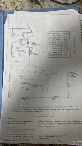 $55,000 | Tbd Cane Market Road, Walker, LA 70785