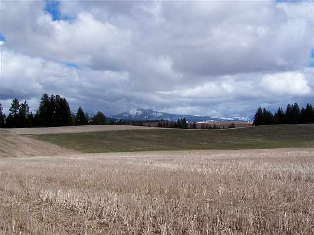 0 South Cameron Road Rockford, WA 99030 - Photo 1 of 8