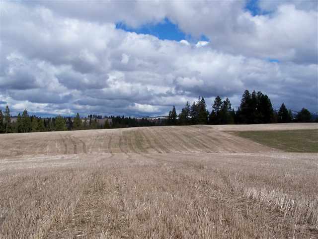 0 South Cameron Road Rockford, WA 99030 - Photo 5 of 8