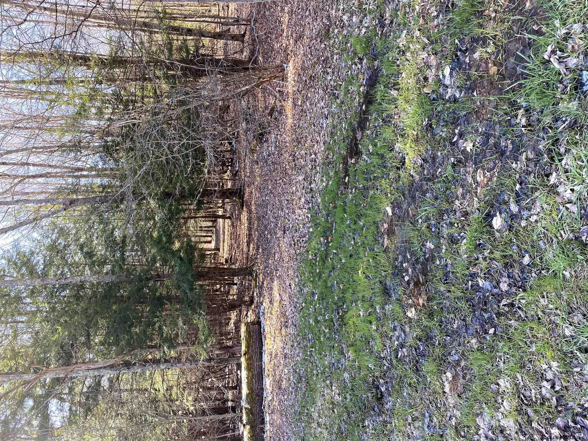 L12 Grovenors Corners Road Howes Cave, NY 12092 - Photo 17 of 17 Photo 17