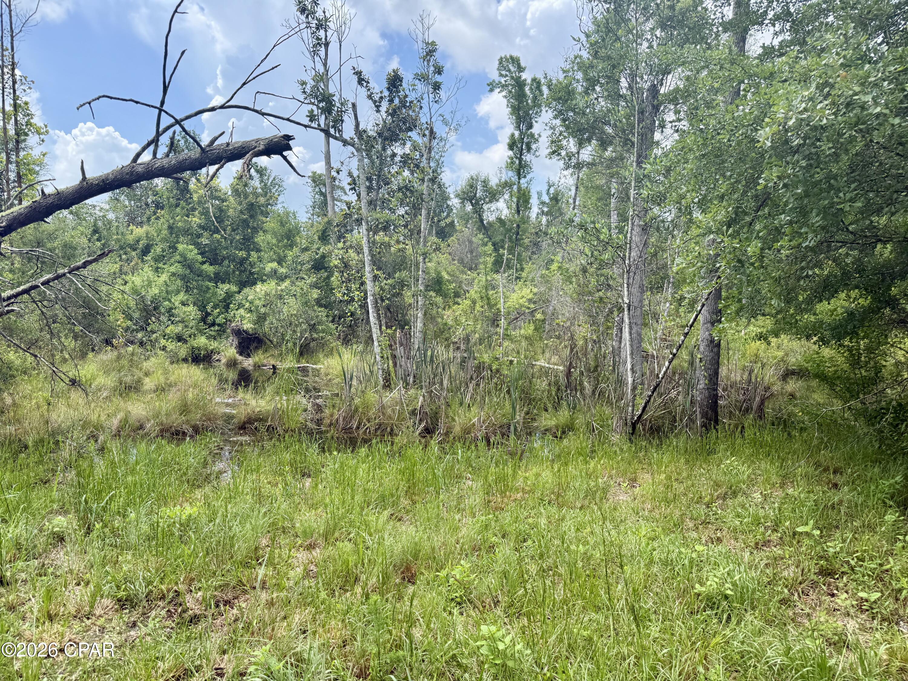 14567 C J Roberts Road Blountstown, FL 32424 - Photo 31 of 38