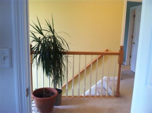 4 Rivard Street Fairhaven, MA 02719 - Photo 8 of 14