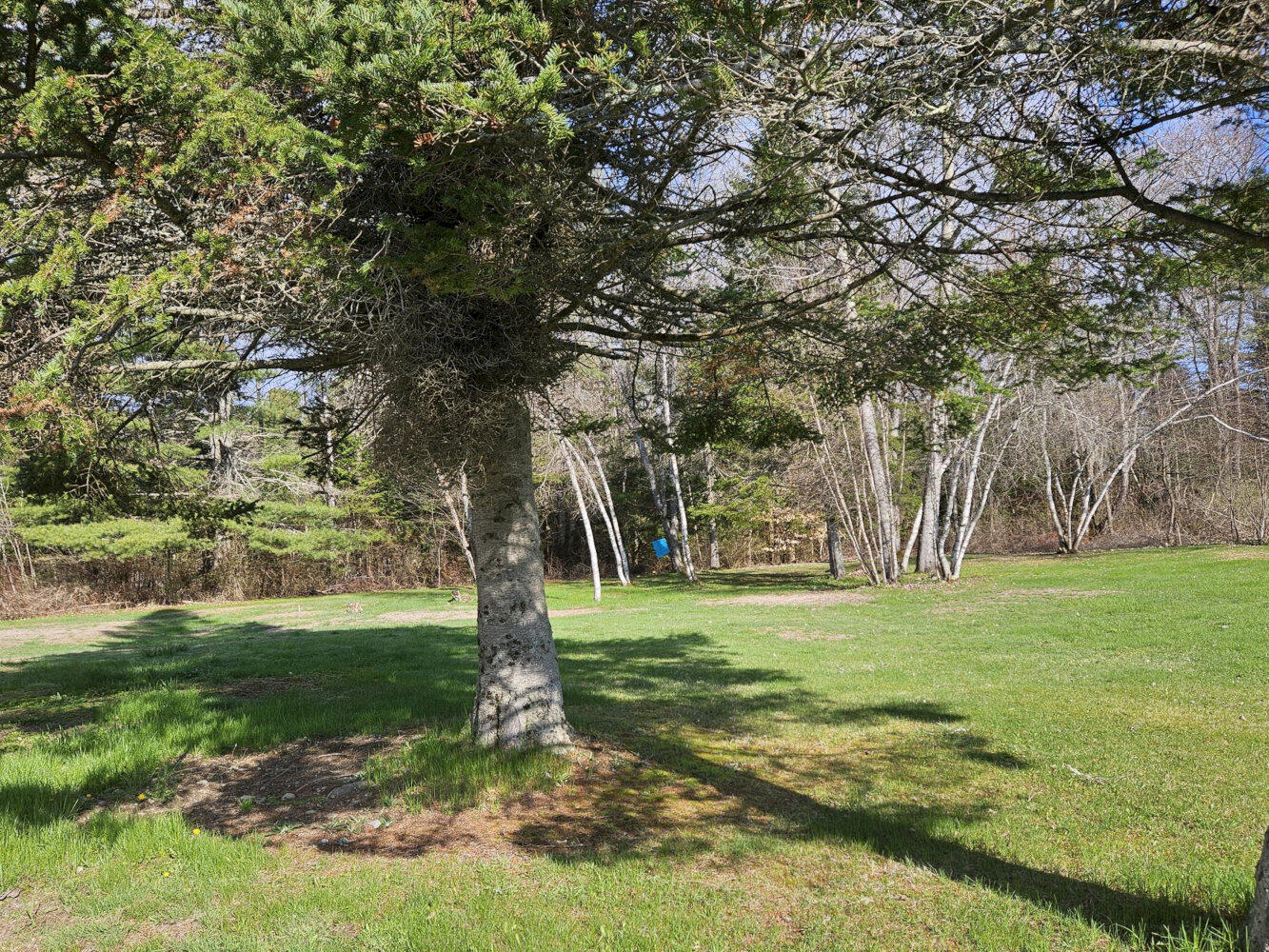 545 Hinckley Road Canaan, ME 04924 - Photo 12 of 44 20260504_082312_result