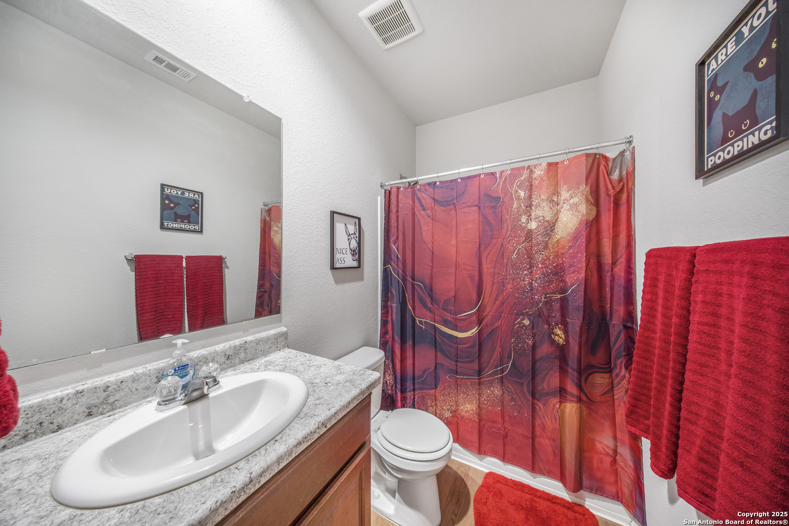 13115 Heathers Reef St. Hedwig, TX 78152 - Photo 16 of 23 a bathroom with a sink and a mirror