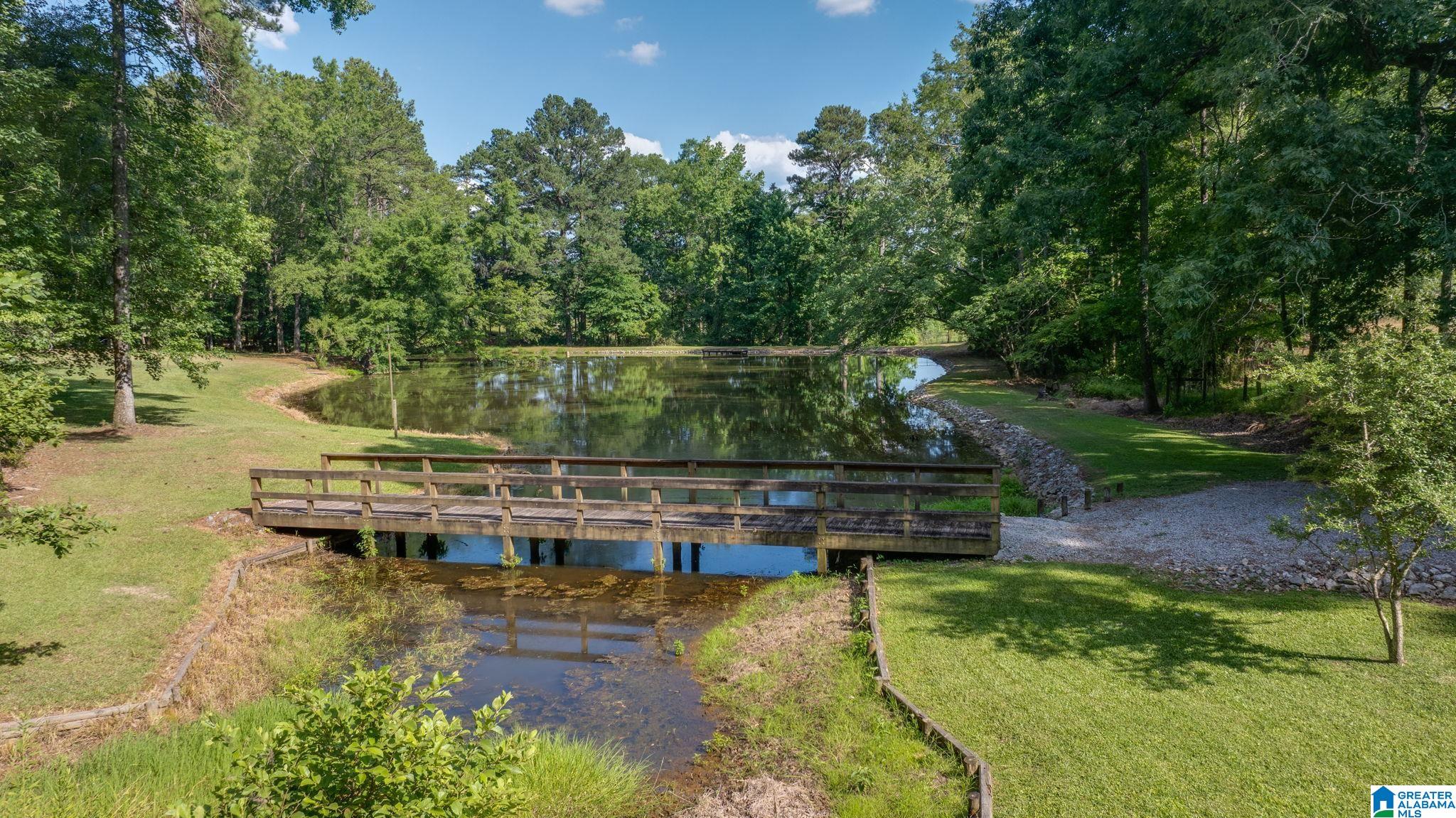 8484 Chelsea Road Columbiana, AL 35051 - Photo 64 of 77