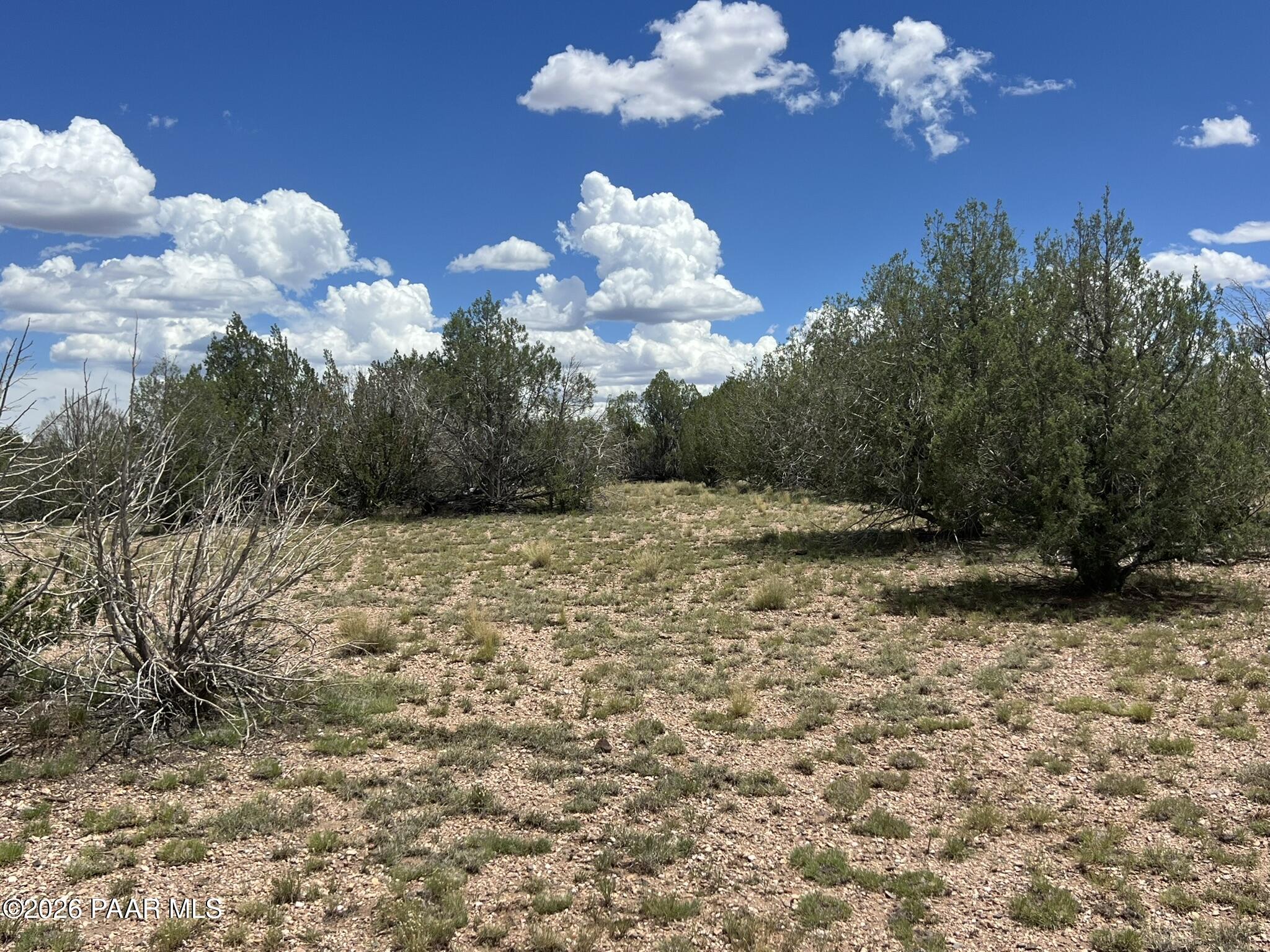 70 Arizona Road Ash Fork, AZ 86320 - Photo 6 of 11 IMG_0182