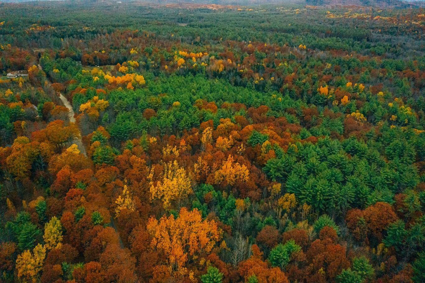 0 Spring Road West Newfield, ME 04095 - Photo 2 of 17 Drone 4