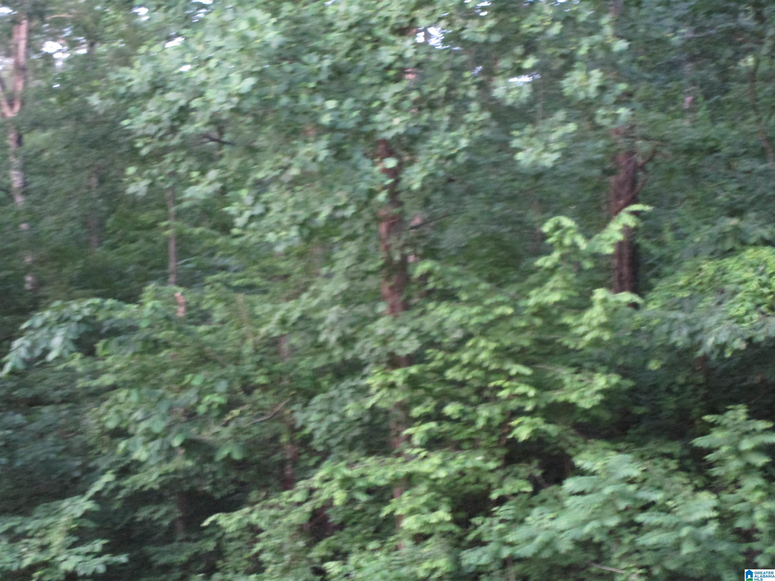 481 Baggett Camp Road Quinton, AL 35130 - Photo 1 of 1