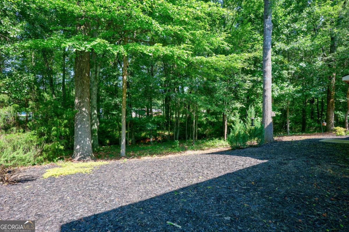 1640 Madison Court Bogart, GA 30622 - Photo 46 of 69