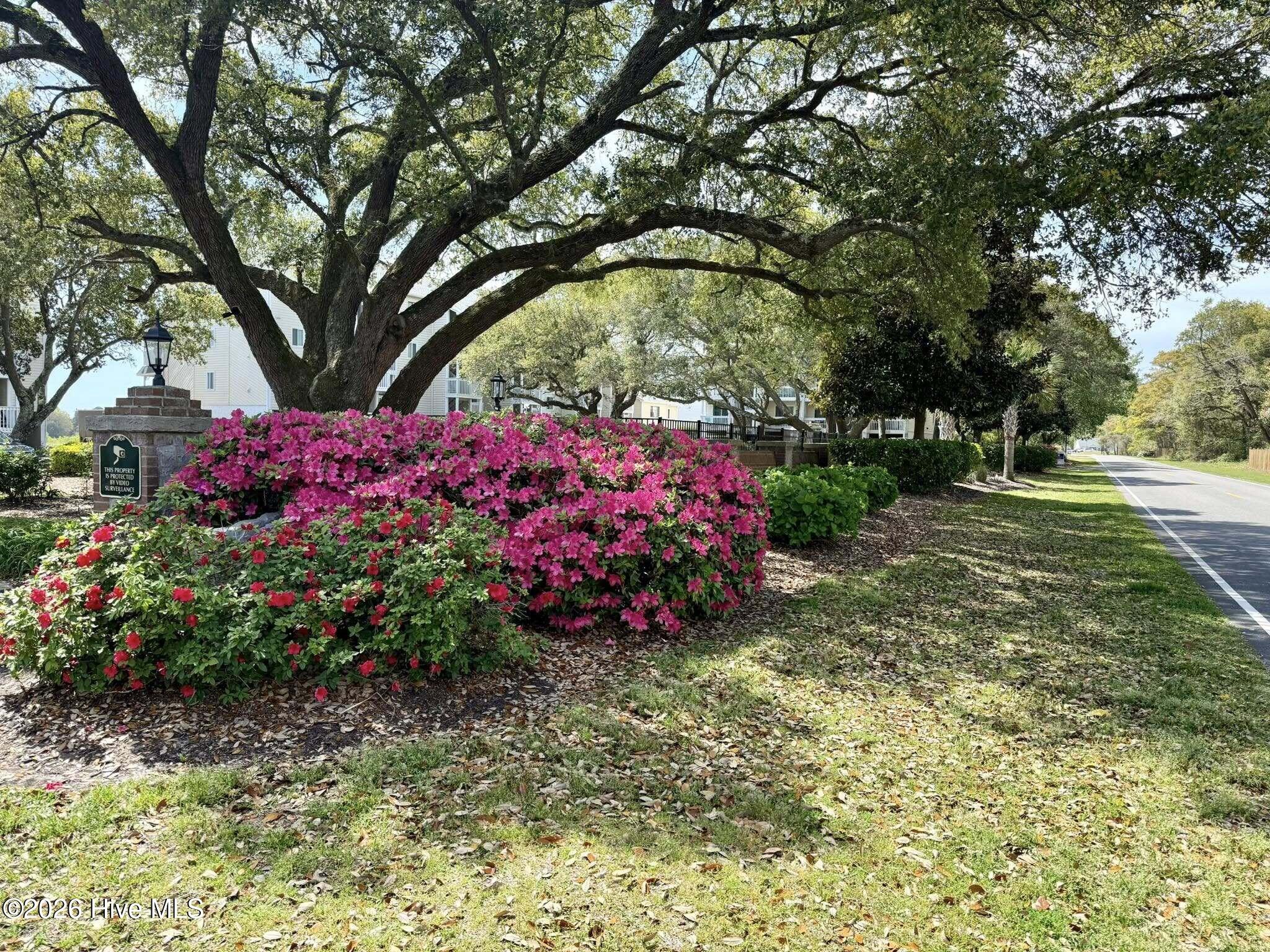 1912 Goose Creek Road Southwest, Unit 4103 Ocean Isle Beach, NC 28469 - Photo 35 of 53 live oak trees
