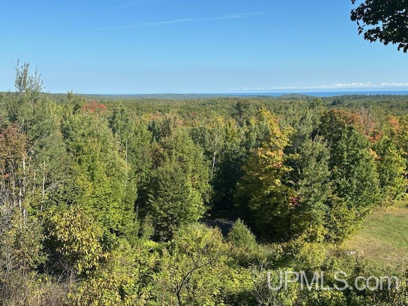 Tbd Tbd Garlic Mountain Road Negaunee, MI 49866 - Photo 3 of 61