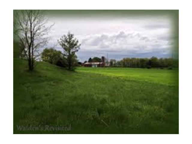 0 Brindle Road Ostrander, OH 43061 - Photo 2 of 11