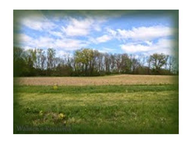 0 Brindle Road Ostrander, OH 43061 - Photo 5 of 11