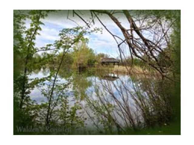 0 Brindle Road Ostrander, OH 43061 - Photo 10 of 11